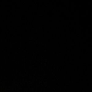 Meet your Posher, Toni